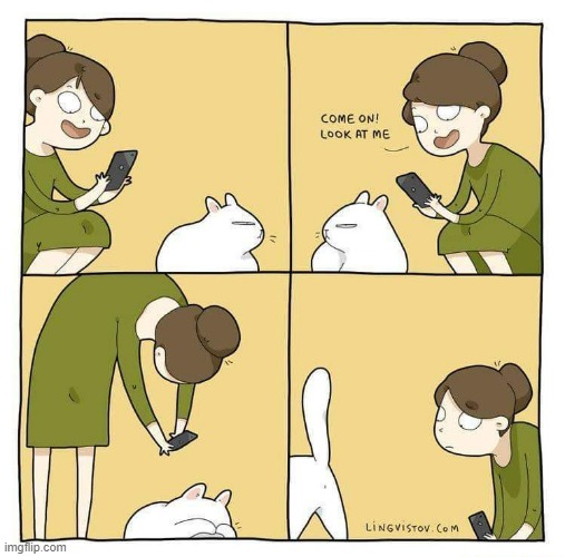 A Cat's Way Of Thinking | image tagged in memes,comics,another picture from,cats,look at me,no | made w/ Imgflip meme maker