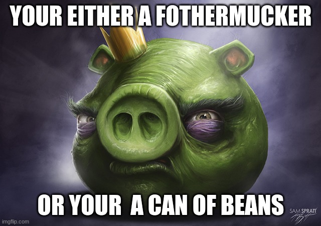 Angry Birds Realistic King Pig | YOUR EITHER A FOTHERMUCKER; OR YOUR  A CAN OF BEANS | image tagged in angry birds realistic king pig | made w/ Imgflip meme maker