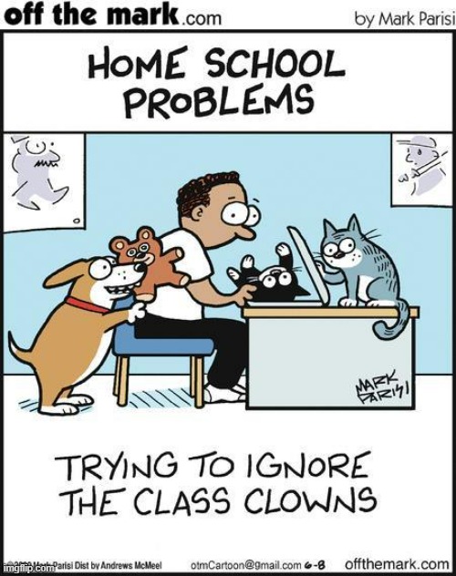 image tagged in memes,comics,cats,homeschool,ignore,problems | made w/ Imgflip meme maker