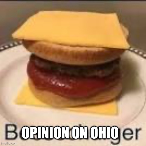 Besechuger | OPINION ON OHIO | image tagged in besechuger | made w/ Imgflip meme maker