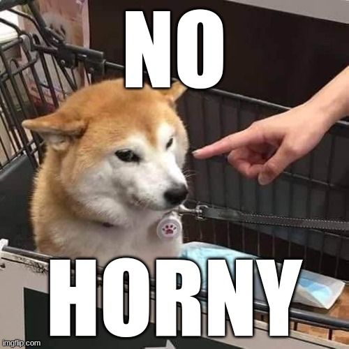 No horny | NO HORNY | image tagged in no horny | made w/ Imgflip meme maker