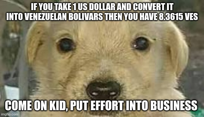 Not real life situation | IF YOU TAKE 1 US DOLLAR AND CONVERT IT INTO VENEZUELAN BOLIVARS THEN YOU HAVE 8.3615 VES; COME ON KID, PUT EFFORT INTO BUSINESS | image tagged in memes | made w/ Imgflip meme maker