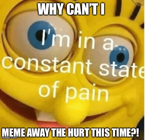 I'm in a constant state of pain | WHY CAN’T I; MEME AWAY THE HURT THIS TIME?! | image tagged in i'm in a constant state of pain | made w/ Imgflip meme maker