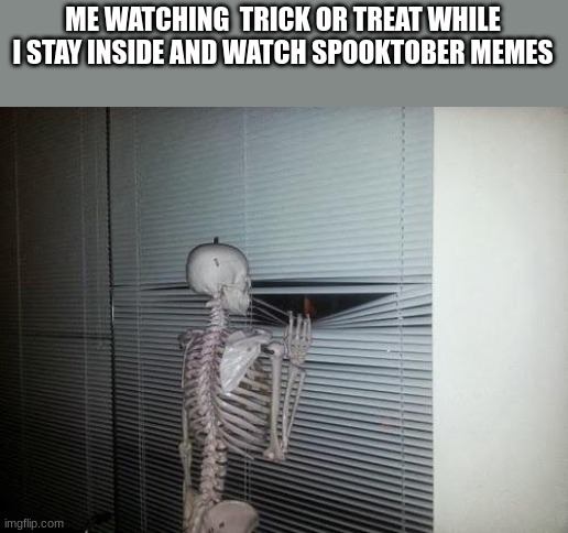 * happy calcium noises * | ME WATCHING  TRICK OR TREAT WHILE I STAY INSIDE AND WATCH SPOOKTOBER MEMES | image tagged in skeleton looking out window,spooktober,spooky month,skeleton | made w/ Imgflip meme maker