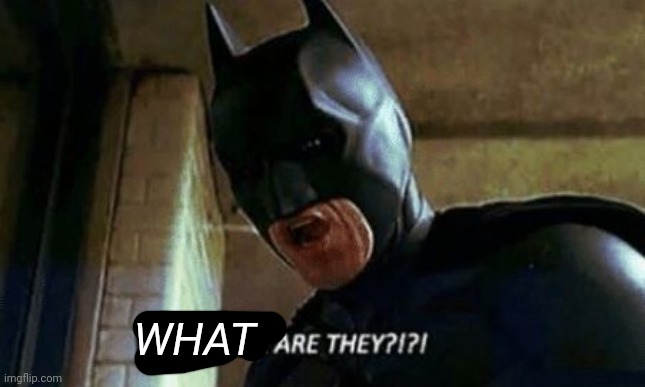 Batman Where Are They 12345 | WHAT | image tagged in batman where are they 12345 | made w/ Imgflip meme maker