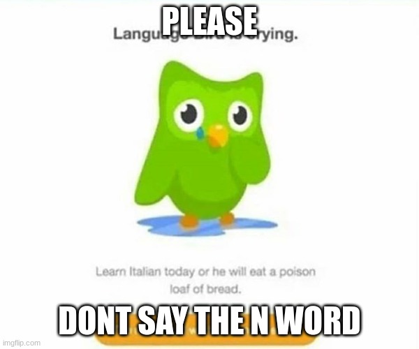 Duolingo bird | PLEASE; DONT SAY THE N-WORD | image tagged in duolingo bird | made w/ Imgflip meme maker