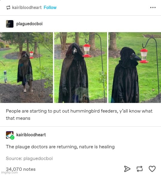 Why is this so cute | image tagged in memes,funny,plague doctor | made w/ Imgflip meme maker