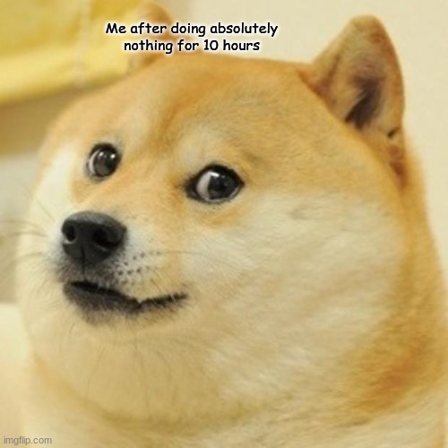 Doge | Me after doing absolutely nothing for 10 hours | image tagged in memes,doge | made w/ Imgflip meme maker