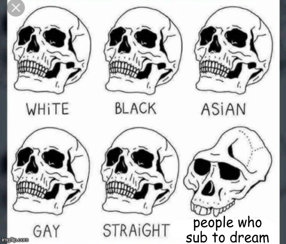 drem | people who sub to dream | image tagged in white black asian gay straight skull template | made w/ Imgflip meme maker