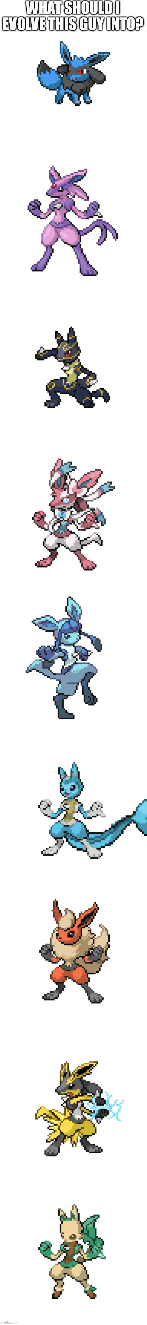 yes this is a vote | WHAT SHOULD I EVOLVE THIS GUY INTO? | image tagged in eevolu,espcario,umbrecario,sylcario,glacario,vapcario | made w/ Imgflip meme maker