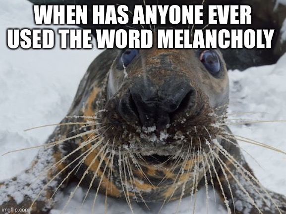 his name's bim bim | WHEN HAS ANYONE EVER USED THE WORD MELANCHOLY | image tagged in his name's bim bim | made w/ Imgflip meme maker