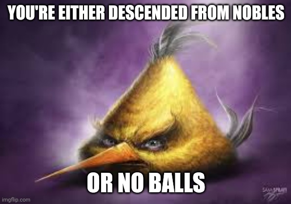 Which are you? | YOU'RE EITHER DESCENDED FROM NOBLES; OR NO BALLS | image tagged in realistic angry bird | made w/ Imgflip meme maker