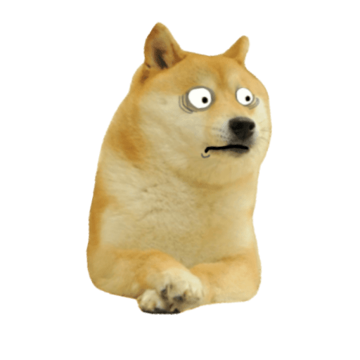 High Quality Scared doge Blank Meme Template