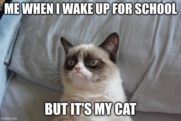 Grumpy Cat Bed | ME WHEN I WAKE UP FOR SCHOOL; BUT IT'S MY CAT | image tagged in memes,grumpy cat bed,grumpy cat | made w/ Imgflip meme maker