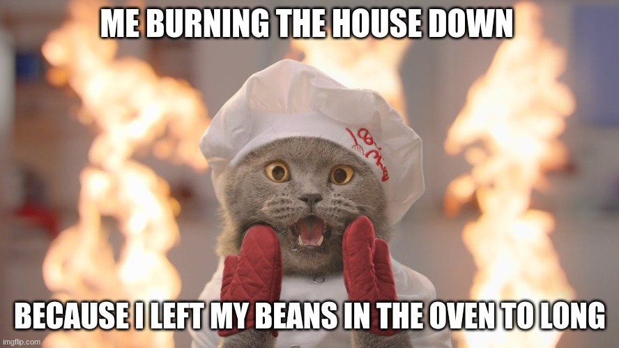 Oops | ME BURNING THE HOUSE DOWN; BECAUSE I LEFT MY BEANS IN THE OVEN TO LONG | image tagged in funny | made w/ Imgflip meme maker