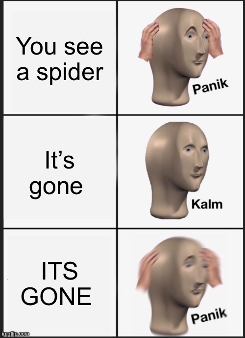 REVENGE OF THE SPIDERS | You see a spider; It’s gone; ITS GONE | image tagged in memes,panik kalm panik | made w/ Imgflip meme maker