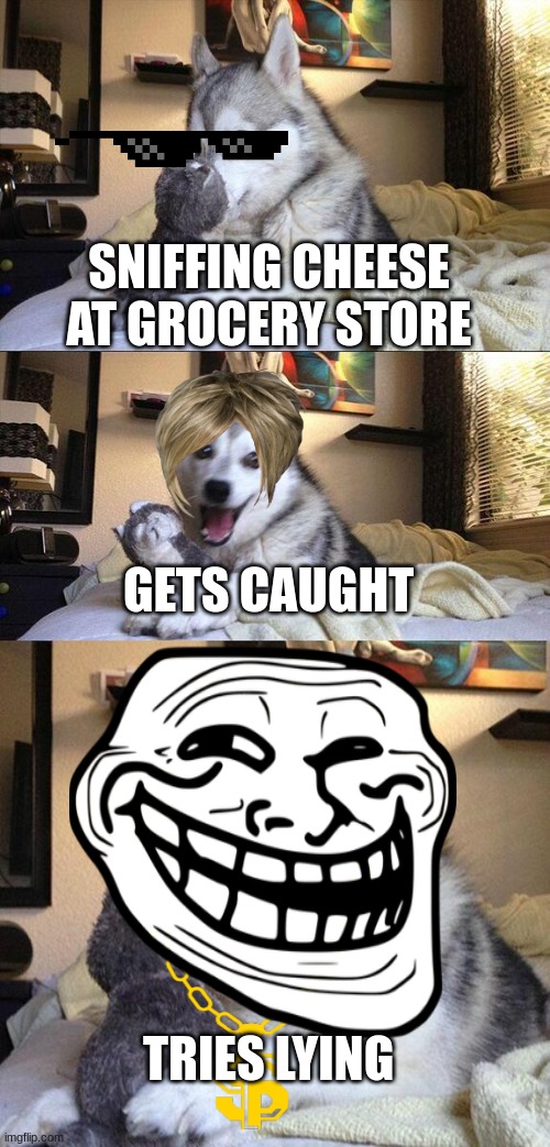 Bad Pun Dog Meme | SNIFFING CHEESE AT GROCERY STORE; GETS CAUGHT; TRIES LYING | image tagged in memes,bad pun dog | made w/ Imgflip meme maker