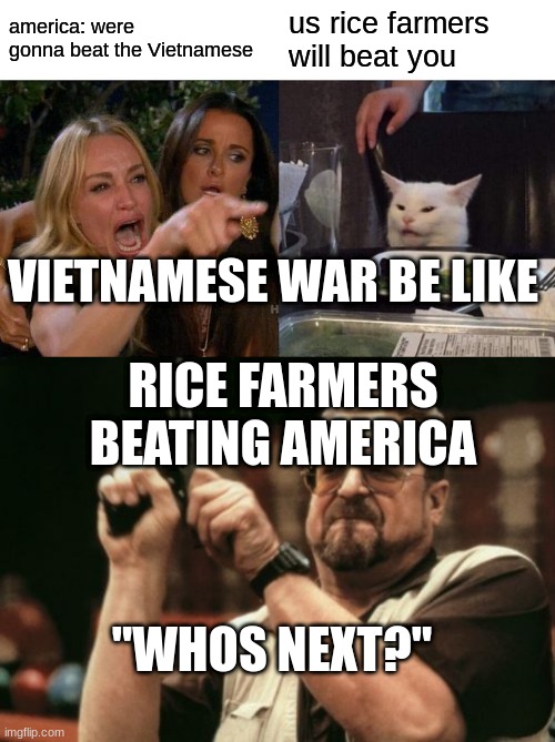 he(no offense) | america: were gonna beat the Vietnamese; us rice farmers will beat you; VIETNAMESE WAR BE LIKE; RICE FARMERS BEATING AMERICA; "WHOS NEXT?" | image tagged in memes,woman yelling at cat,am i the only one around here | made w/ Imgflip meme maker