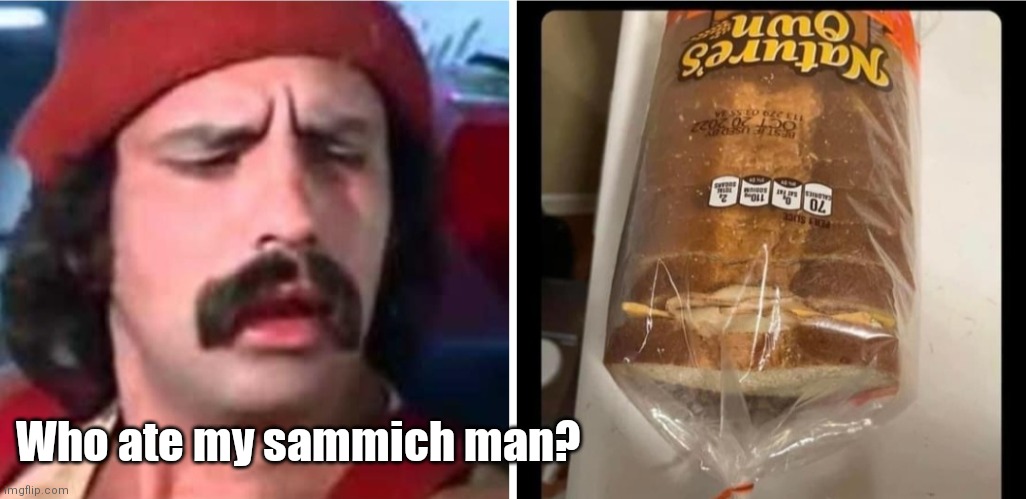 Ham & Cheech on wheat | Who ate my sammich man? | image tagged in funny | made w/ Imgflip meme maker