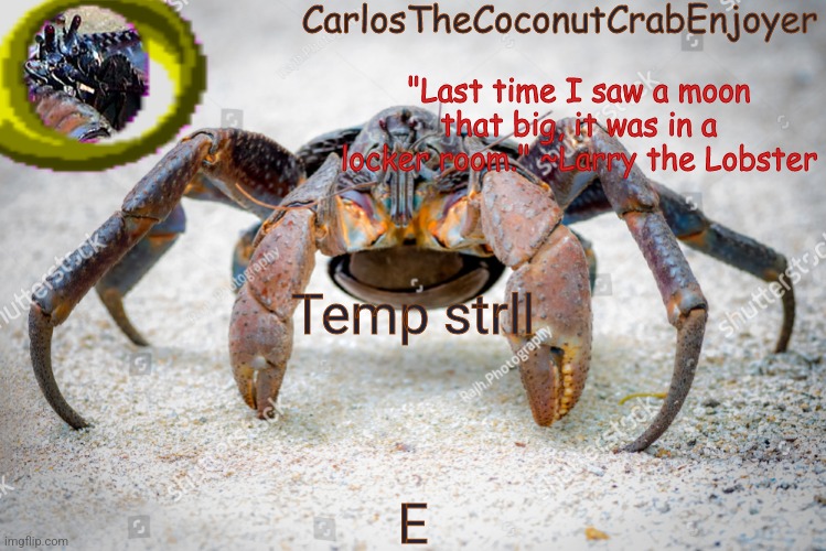 coco for coconut crabs | Temp strll; E | image tagged in coco for coconut crabs | made w/ Imgflip meme maker