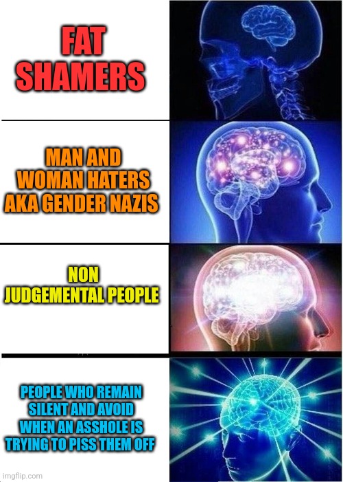 PEOPLE: <*> | FAT SHAMERS; MAN AND WOMAN HATERS AKA GENDER NAZIS; NON JUDGEMENTAL PEOPLE; PEOPLE WHO REMAIN SILENT AND AVOID WHEN AN ASSHOLE IS TRYING TO PISS THEM OFF | image tagged in memes,expanding brain | made w/ Imgflip meme maker