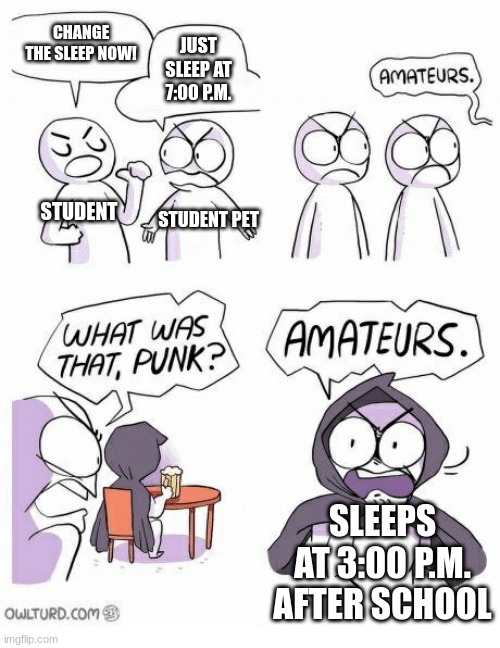 Amateurs | CHANGE THE SLEEP NOW! JUST SLEEP AT 7:00 P.M. STUDENT STUDENT PET SLEEPS AT 3:00 P.M.
AFTER SCHOOL | image tagged in amateurs | made w/ Imgflip meme maker