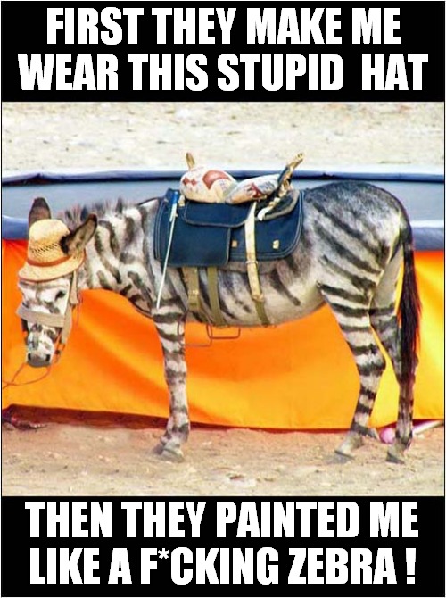 I'm Guessing He's Called 'Eeyore' | FIRST THEY MAKE ME WEAR THIS STUPID  HAT; THEN THEY PAINTED ME
LIKE A F*CKING ZEBRA ! | image tagged in donkey,zebra,eeyore | made w/ Imgflip meme maker