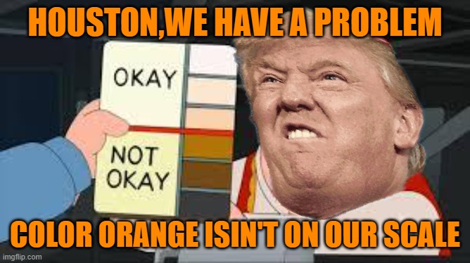 MAGA color coordinated | HOUSTON,WE HAVE A PROBLEM; COLOR ORANGE ISIN'T ON OUR SCALE | image tagged in donald trump,maga,political meme,brandon,orange | made w/ Imgflip meme maker