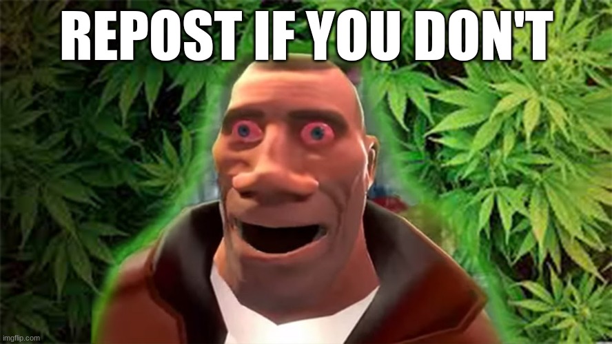 weed tf2 | REPOST IF YOU DON'T | image tagged in weed tf2 | made w/ Imgflip meme maker