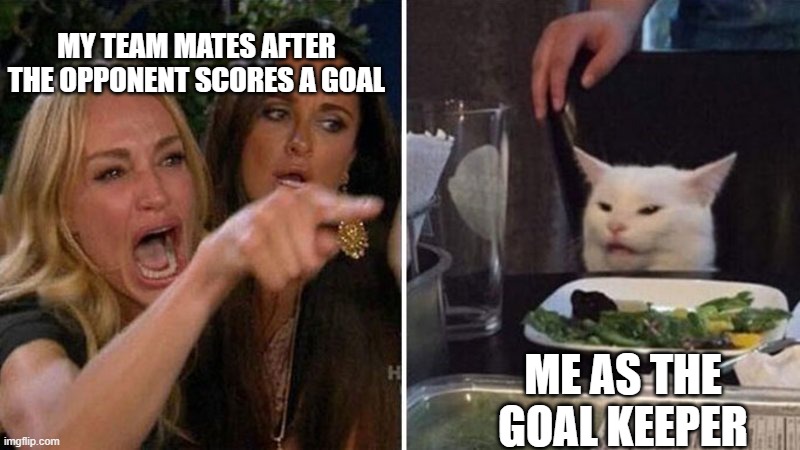 football memes | MY TEAM MATES AFTER THE OPPONENT SCORES A GOAL; ME AS THE GOAL KEEPER | image tagged in woman argues with cat | made w/ Imgflip meme maker