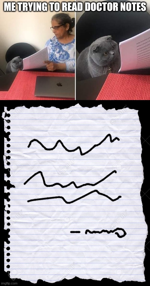 ME TRYING TO READ DOCTOR NOTES | image tagged in woman showing paper to cat,old notebook paper | made w/ Imgflip meme maker