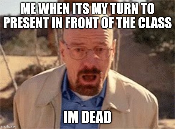 bruh | ME WHEN ITS MY TURN TO PRESENT IN FRONT OF THE CLASS; IM DEAD | image tagged in walter white | made w/ Imgflip meme maker