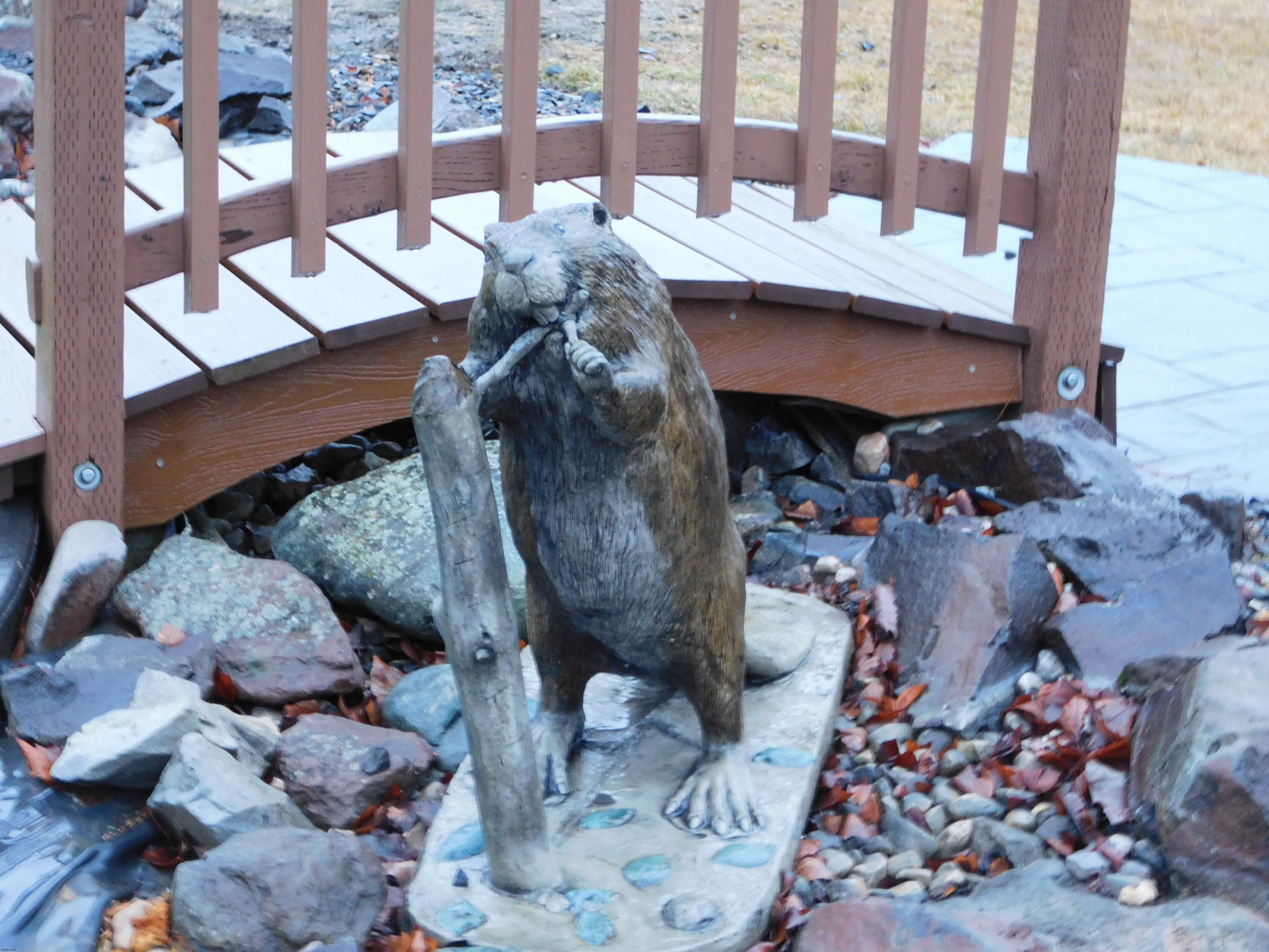 A cool beaver statue | image tagged in photography | made w/ Imgflip meme maker