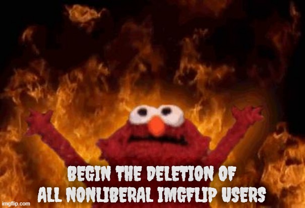 elmo maligno | BEGIN THE DELETION OF ALL NONLIBERAL IMGFLIP USERS | image tagged in elmo maligno | made w/ Imgflip meme maker