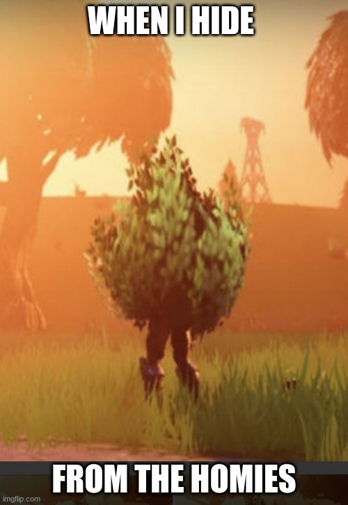 Fortnite homies | WHEN I HIDE; FROM THE HOMIES | image tagged in fortnite bush | made w/ Imgflip meme maker