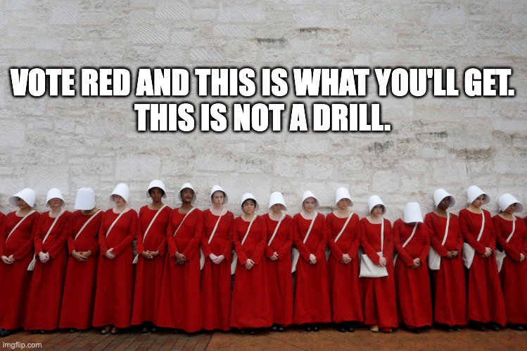 Handmaid in America | VOTE RED AND THIS IS WHAT YOU'LL GET.
THIS IS NOT A DRILL. | image tagged in gilead,handmaid's tale,vote blue,no maga | made w/ Imgflip meme maker