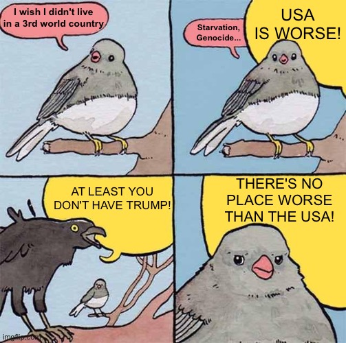 Put your struggles into perspective | I wish I didn't live in a 3rd world country; USA IS WORSE! Starvation, Genocide... THERE'S NO PLACE WORSE THAN THE USA! AT LEAST YOU DON'T HAVE TRUMP! | image tagged in annoying crow,memes,unfunny | made w/ Imgflip meme maker