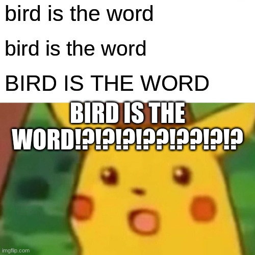 Surprised Pikachu | bird is the word; bird is the word; BIRD IS THE WORD; BIRD IS THE WORD!?!?!?!??!??!?!? | image tagged in memes,surprised pikachu | made w/ Imgflip meme maker