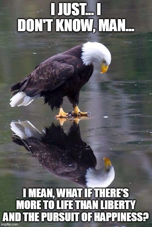what if | I JUST... I DON'T KNOW, MAN... I MEAN, WHAT IF THERE'S MORE TO LIFE THAN LIBERTY AND THE PURSUIT OF HAPPINESS? | image tagged in eagles,eagle,bald eagle,'murica,usa,fucktrump | made w/ Imgflip meme maker