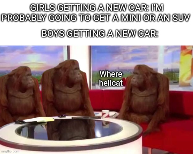 GIRLS GETTING A NEW CAR: I'M PROBABLY GOING TO GET A MINI OR AN SUV; BOYS GETTING A NEW CAR:; Where hellcat | image tagged in memes,where monkey,funny,boys vs girls,girls vs boys | made w/ Imgflip meme maker