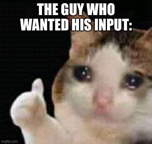 sad thumbs up cat | THE GUY WHO WANTED HIS INPUT: | image tagged in sad thumbs up cat | made w/ Imgflip meme maker