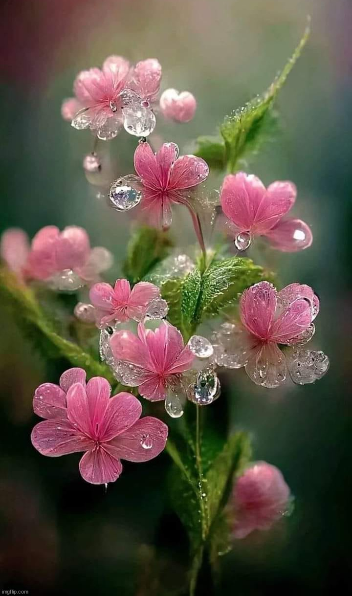 image tagged in awesome | made w/ Imgflip meme maker