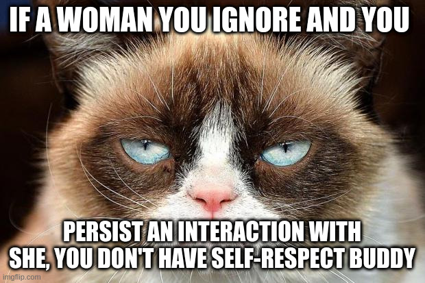 girl | IF A WOMAN YOU IGNORE AND YOU; PERSIST AN INTERACTION WITH SHE, YOU DON'T HAVE SELF-RESPECT BUDDY | image tagged in memes,grumpy cat not amused,grumpy cat | made w/ Imgflip meme maker