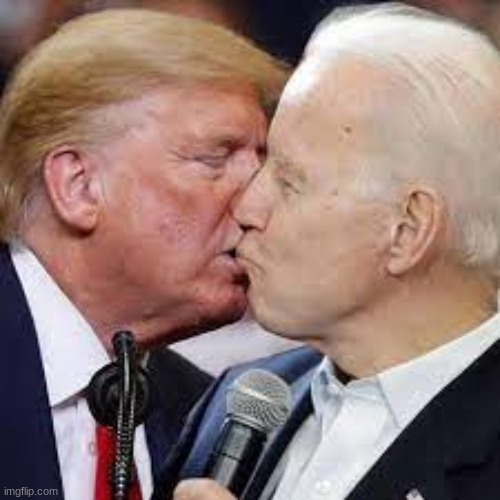 This is the truth that the liberals and conservatives don't want you to know | image tagged in joe biden,callmecarson crying next to joe swanson,donald trump,donald duck,elephant,donkey | made w/ Imgflip meme maker