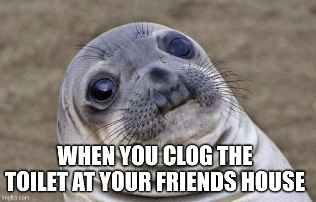 wat | WHEN YOU CLOG THE TOILET AT YOUR FRIENDS HOUSE | image tagged in memes,awkward moment sealion | made w/ Imgflip meme maker
