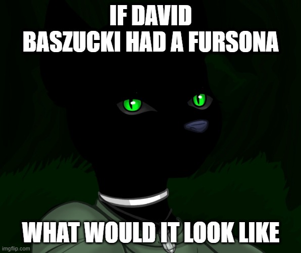 My new panther fursona | IF DAVID BASZUCKI HAD A FURSONA; WHAT WOULD IT LOOK LIKE | image tagged in my new panther fursona | made w/ Imgflip meme maker