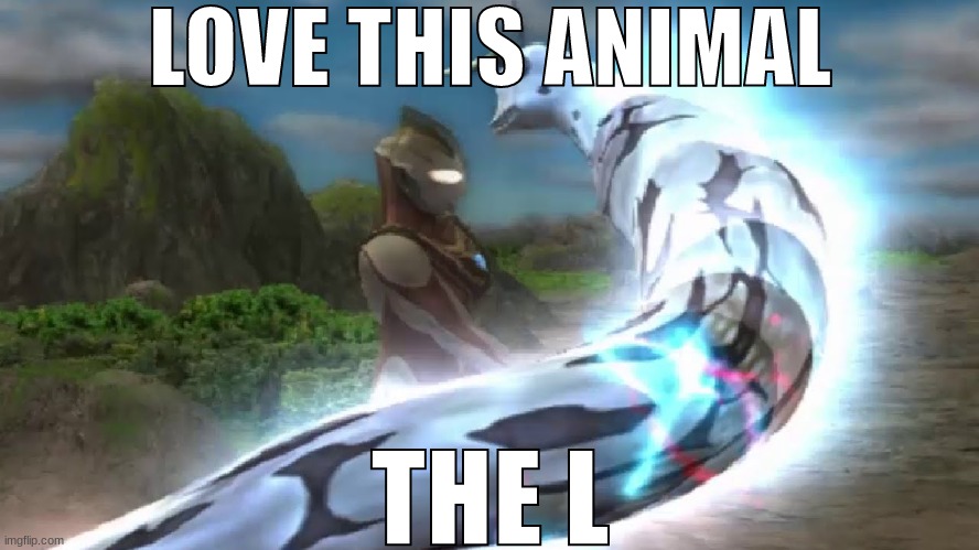 LOVE THIS ANIMAL; THE L | made w/ Imgflip meme maker