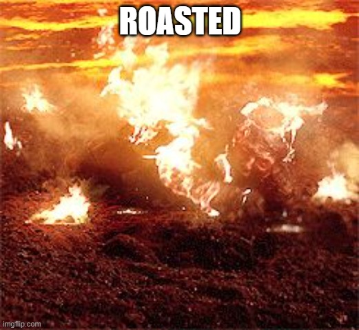 Anakin Skywalker Burning | ROASTED | image tagged in anakin skywalker burning | made w/ Imgflip meme maker