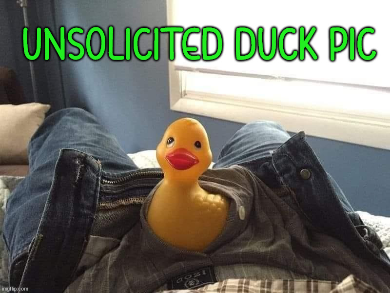 UNSOLICITED DUCK PIC | image tagged in ducks | made w/ Imgflip meme maker