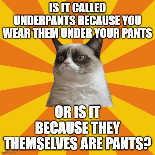 Underpants | IS IT CALLED UNDERPANTS BECAUSE YOU WEAR THEM UNDER YOUR PANTS; OR IS IT BECAUSE THEY THEMSELVES ARE PANTS? | image tagged in animal,philosophy,grumpy cat | made w/ Imgflip meme maker